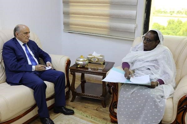 Foreign Minister Receives Representative of African Union to Sudan