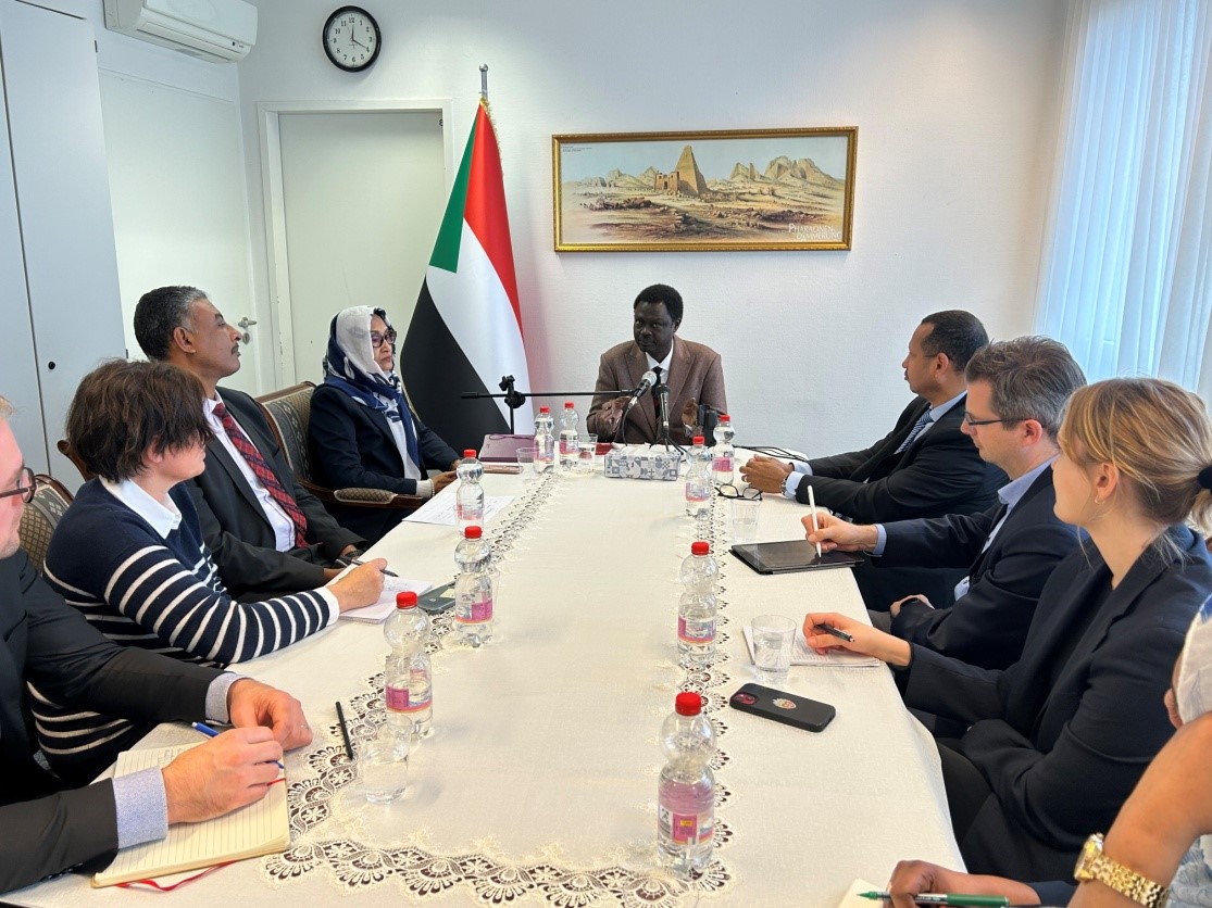 Darfur Region Governor UAE Behind Sudan War RSF Merely a Tool