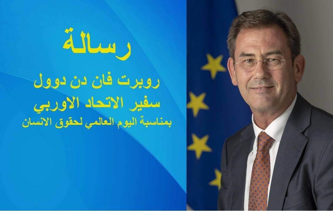 EU Ambassador