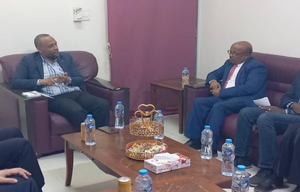 Federal Minister of Health meets Egyptian ambassador