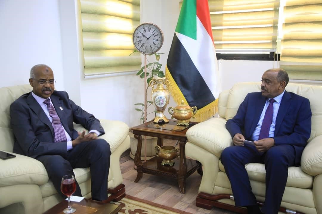 Foreign Minister Meets Adviser for President of IFRC