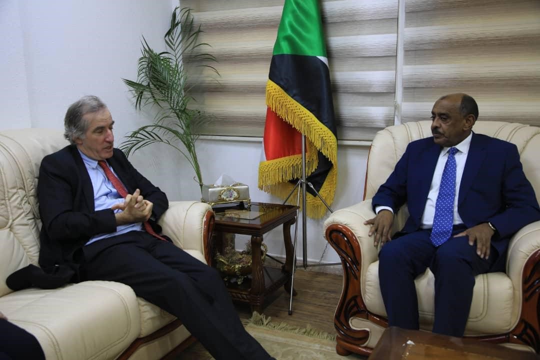 Foreign Minister Meets Director of Africa Department in French Foreign Ministry
