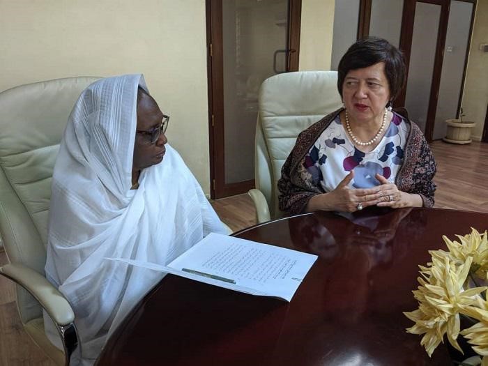 Foreign Minister Receives Chairperson of the UN Sanctions Committee on South Sudan