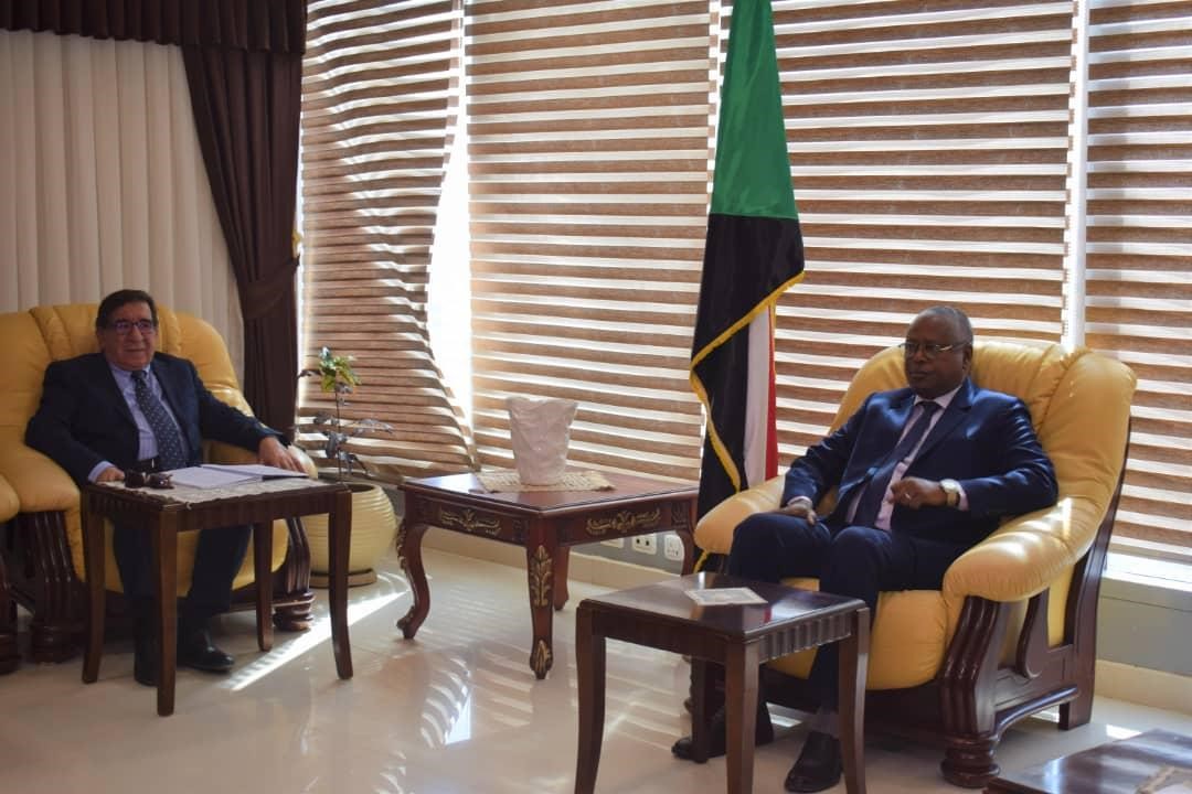 Justice Minister Receives Expert of Human Rights Situation in Sudan