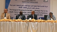 National Health Sector Strategy