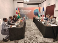 Sudan Electricity Holding Company DG Meets International Solar Alliance Chief